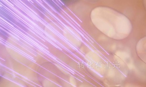 资生堂“粉胖子”特有“紫外线转化技术”获第十四届中国化妆品行业学术研讨会一等奖