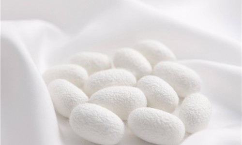 丝研生物 | 重磅原料「芯丝素」丝素肽上市，引领「丝素蛋白」研发新高